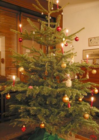 Christmas_tree[1]